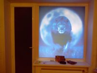 Кассетные рулонные шторы - фото работ