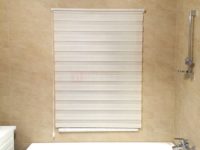 Рулонные шторы День-Ночь - фото работ