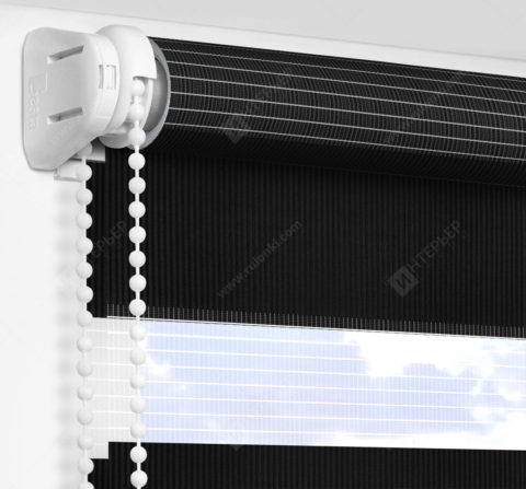 Рулонные шторы День-Ночь - Делия черный